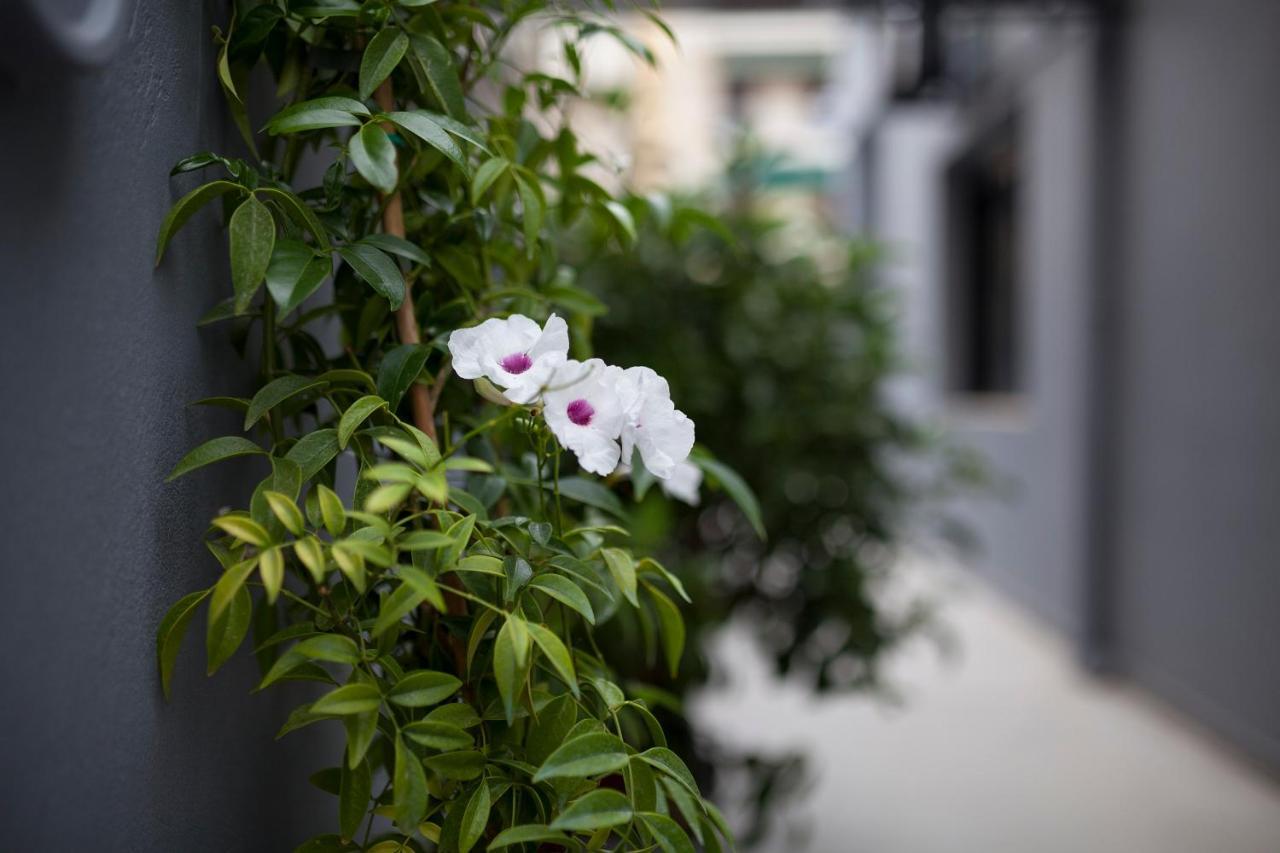 Spacious Flat With Courtyard And Private Parking! Atina Dış mekan fotoğraf
